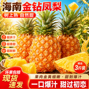 助农海南金钻凤梨